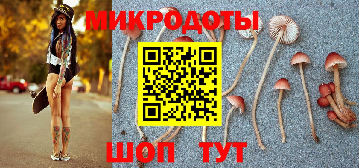 Псилоцибиновые грибы Cubensis Нововоронеж