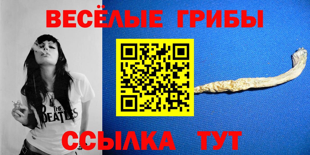 Нововоронеж  Галлюциногенные грибы мухоморы  Вход с VPN 